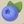 Blueberry