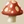Toadstool