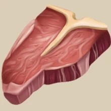 Image of Beef in inventory