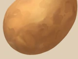 Potato