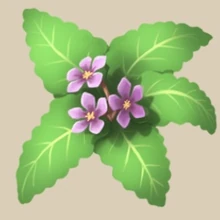 Image of Mandrake in inventory