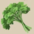 {{#ifexist:File:Coriander.png