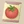 Tomato Seeds