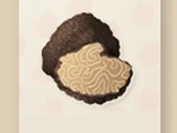 Truffle