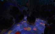 A hidden canyon on a tropical island.