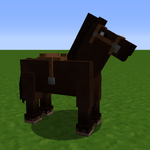 Horse brown