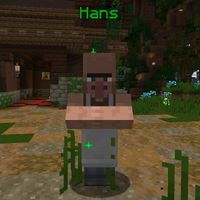 Hans