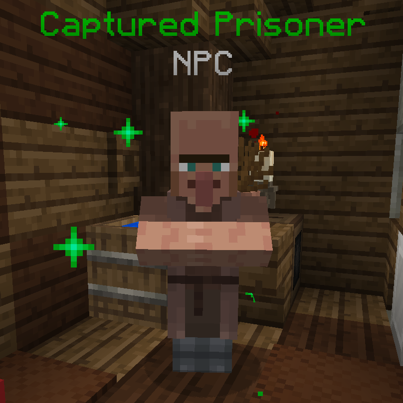 Minecraft Prisoner 