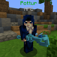 Pottur