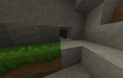GreatBarrier3.png