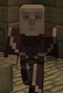 Since people seemed to like my last skin, here's my attempt at a genderless  ??? skin : r/WynnCraft