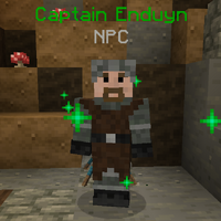 CaptainEnduyn