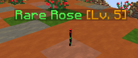 Rare Rose