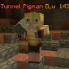 TunnelPigman