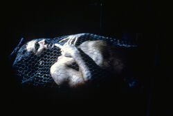 Tunguska Mulder.jpg