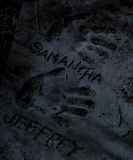 Evidence of Samantha's return.