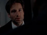 Fox Mulder asks for clarification