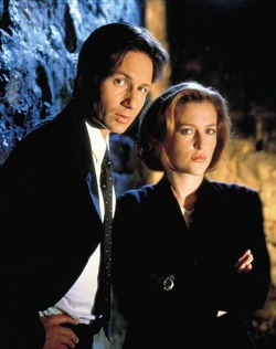 Ｘファイル 51OoG5G5j3L._AC_UF350,