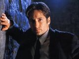 Fox Mulder