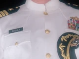William Scully (father)