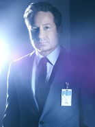 TXF Mulder