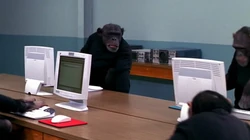 Remember that quote about the monkeys at typewriters making Shakespeare? It doesn't work.