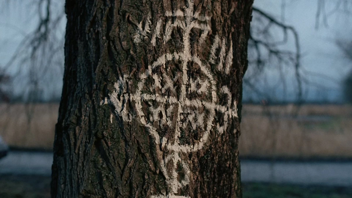 Fresh Bones XFiles Wiki Fandom