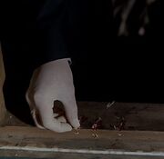 Doggett inspects claw marks on a window frame