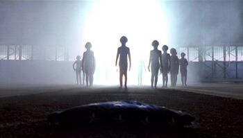 Grey aliens are welcomed