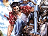 Wolverine