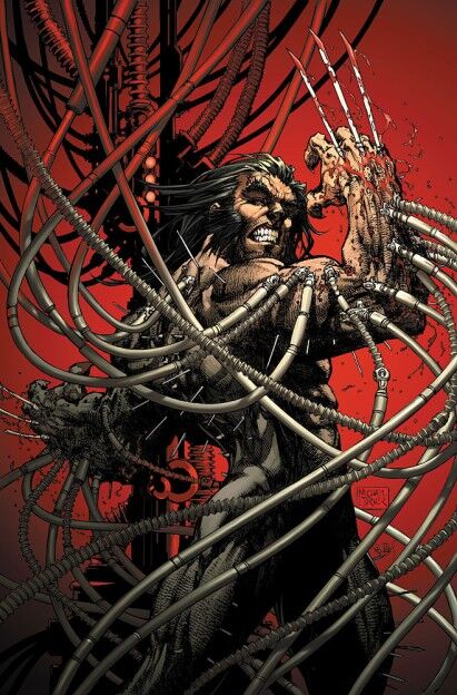 Wolverine weapon x 2345678.jpg