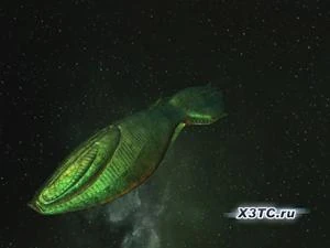 Боронский «Скат»