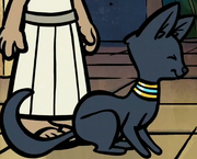 Cleo's cat.png