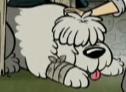 Flo's neighbor's dog.png