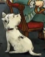 Great-Great Grandpa Riddle's dog | Xavier Riddle and the Secret Museum ...