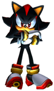 Shadow the Hedgehog