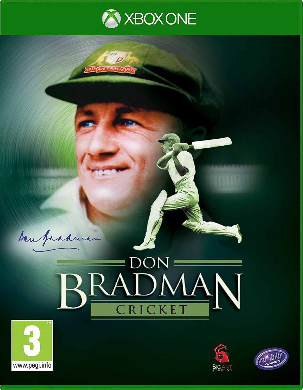 don bradman cricket 17 pc controls