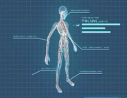 XComEU Thin Man anatomy