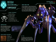 Тактическая сводка.