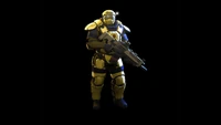 ESP yellow armor.jpg (85 KB) Hyperion Armor (Armor Deco for basic Body Armor)