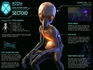 Alien Lifeform Report