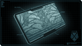 Alien data cache decryption