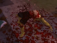 Stage 4: In short period of time the Zombie will burst apart as a new Chryssalid is born