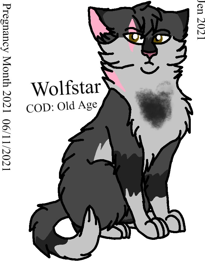 Wolfstar Xcxcharli72's OC'S Wiki Fandom