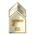 Weapon XP Booster