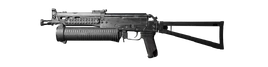 PP-19