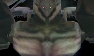 Bionis' Face