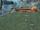 Decapotamon Vista discovery.png