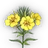 Jobo Primrose icon.png