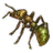 Vagabond Ant icon.png
